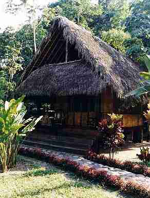 hut in jungle