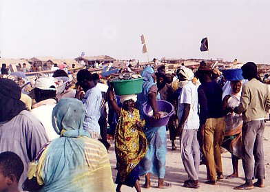 fishmarket near Nouakchott